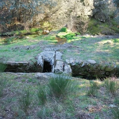 Zona Minera de Pino del Oro y Puente Pino