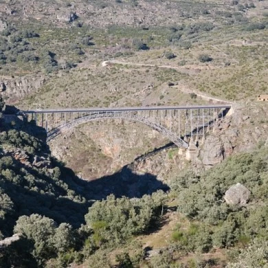 Mining Area of Pino del Oro and Puente Pino