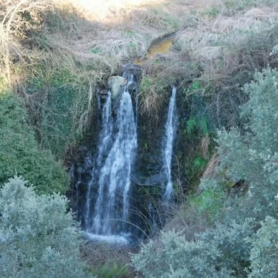 Zona Minera de Pino del Oro y Puente Pino