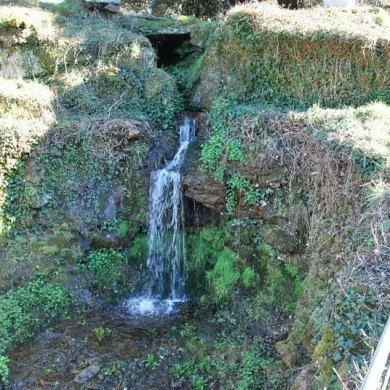 Mining Area of Pino del Oro and Puente Pino