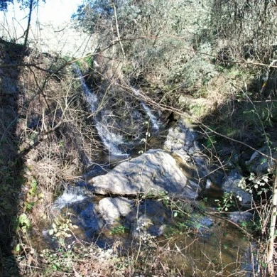 Zona Minera de Pino del Oro y Puente Pino