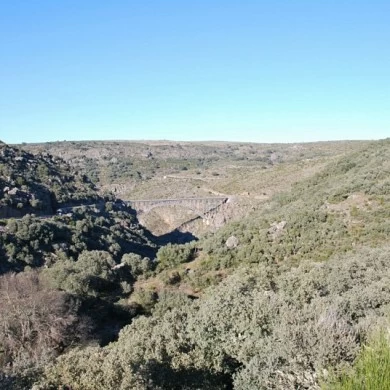 Zona Minera de Pino del Oro y Puente Pino