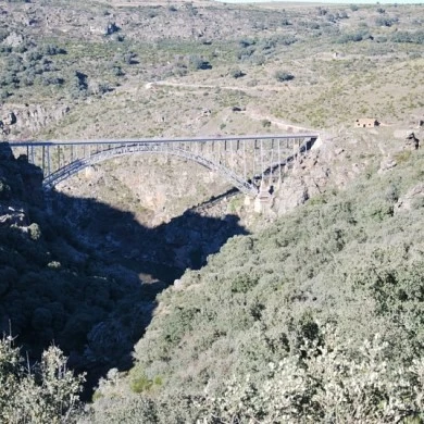 Zona Minera de Pino del Oro y Puente Pino