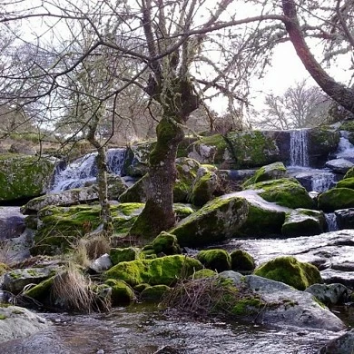 WATERFALL IN THE RIVER