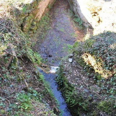 Mining Area of Pino del Oro and Puente Pino