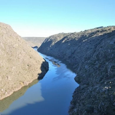 Mining Area of Pino del Oro and Puente Pino