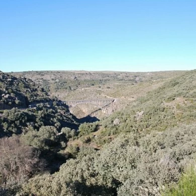 Mining Area of Pino del Oro and Puente Pino