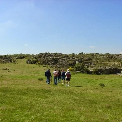 Castilla y León, Cataluña y Andalucía engloban más del 46,7% de la oferta rural de España