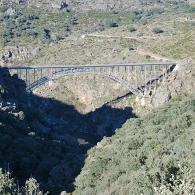 Zona Minera de Pino del Oro y Puente Pino