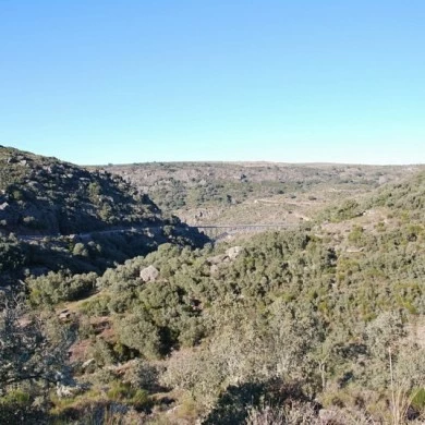 Mining Area of Pino del Oro and Puente Pino