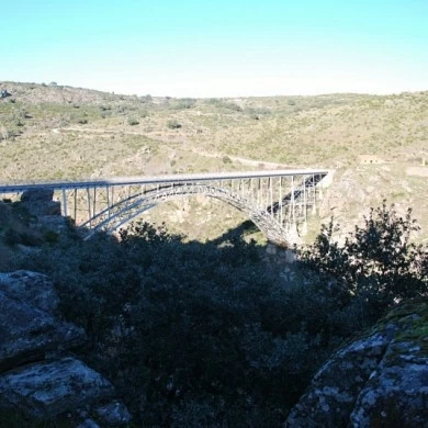 Mining Area of Pino del Oro and Puente Pino